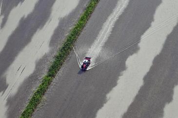 Camargue, France © Etienne Pierart